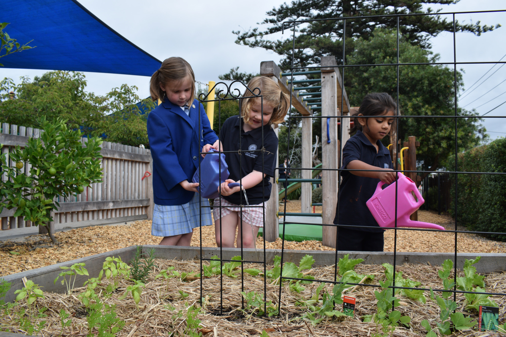 St John's Lutheran Kindergarten