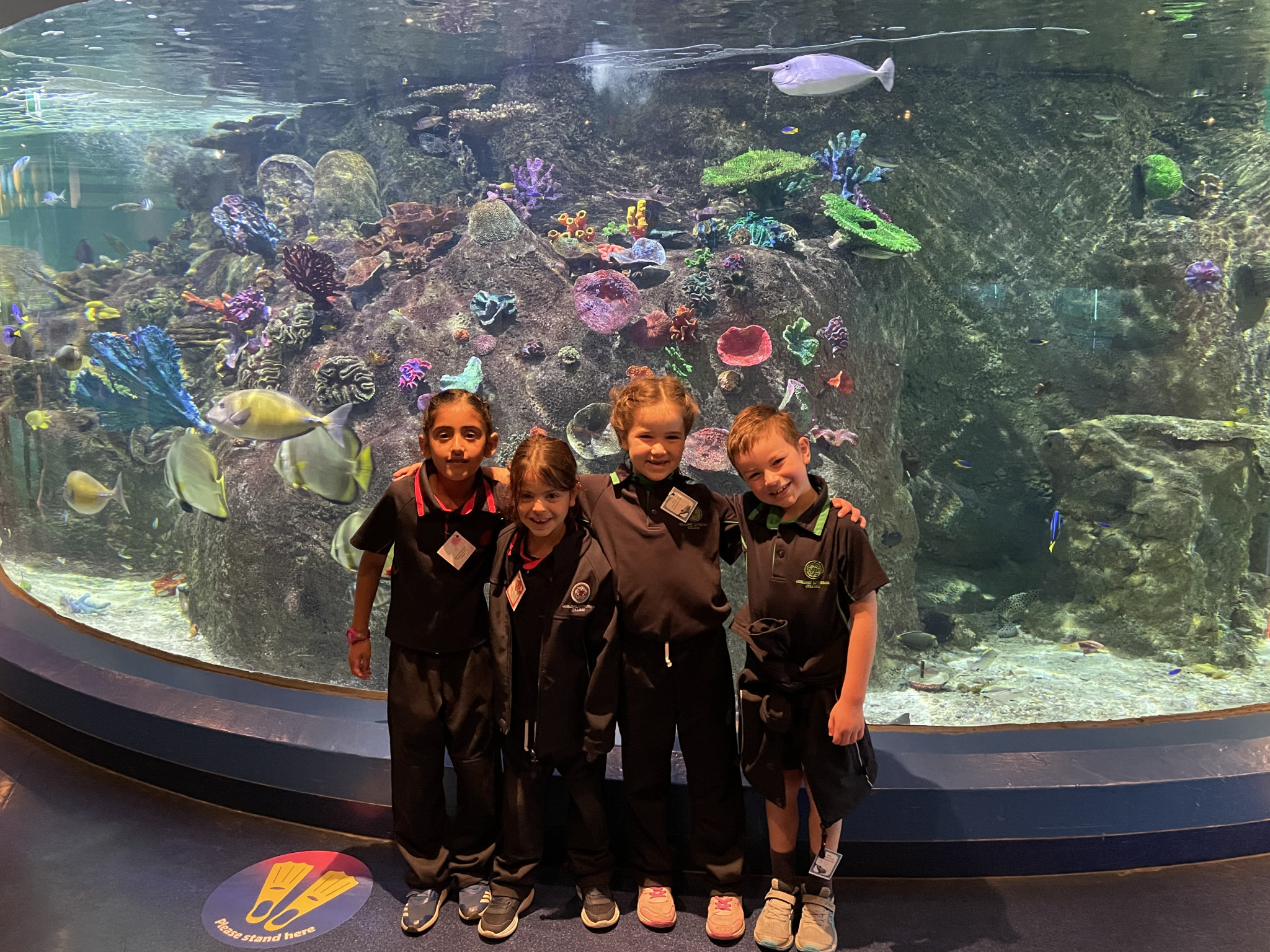 SJ AQUARIUM VISIT